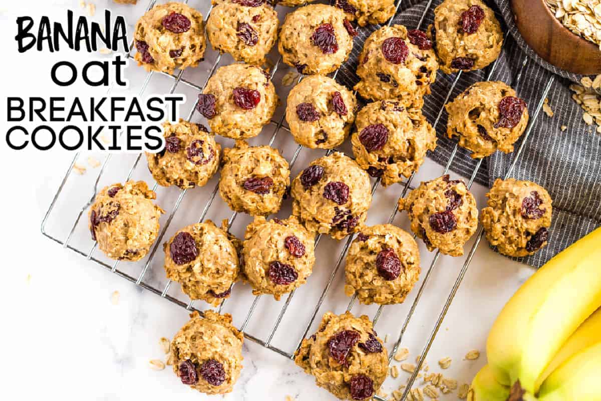 HEALTHY BREAKFAST COOKIES