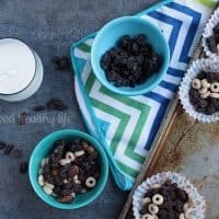 Dark Chocolate Cinnamon Covered Raisin Clusters