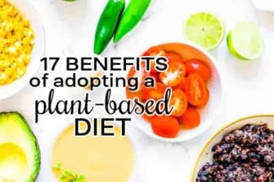 17 PLANT-BASED DIET BENEFITS