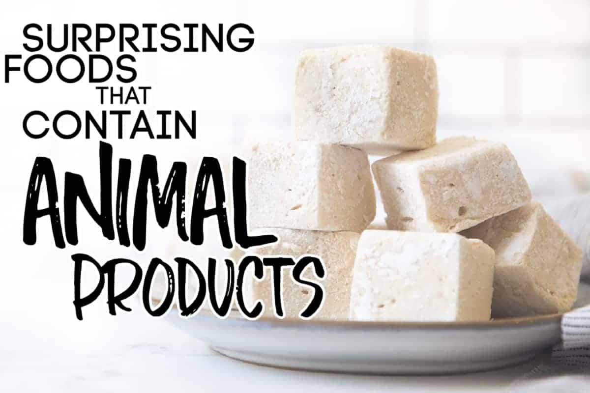 SURPRISING FOODS THAT CONTAIN ANIMAL PRODUCTS - Happy Food, Healthy Life