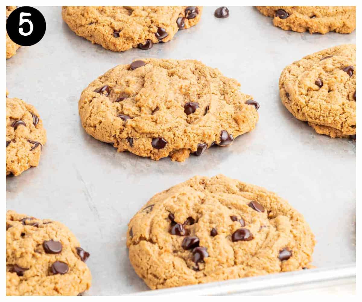 baked chocolate chip cookies on a baking sheet right out of the oven.