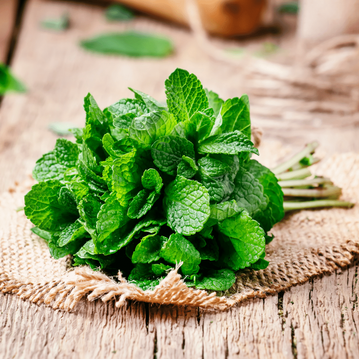 5 Quick and Easy Substitutes for Mint in Your Recipes