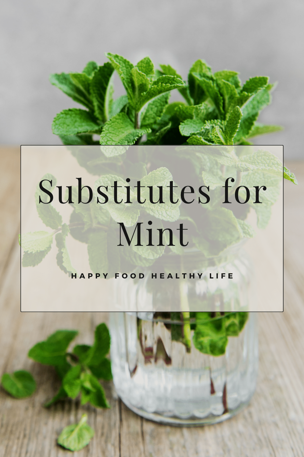 white box with black font text overlay saying: substitues for mint with a picture of fresh mint in a clear glass jar
