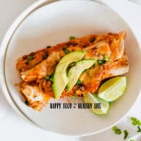 Photo of a white plate with a single serving of vegan enchiladas on the plate. The enchilada is serves with a lime wedge, avocado slices, and chopped spring onions.