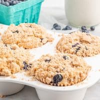 Photo of a muffin tin filled with freshly baked vegan blueberry muffins. There are fresh blueberries scattered on the countertop, and a teal carton in the backdrop. There is also a glass pitcher of milk in the background.