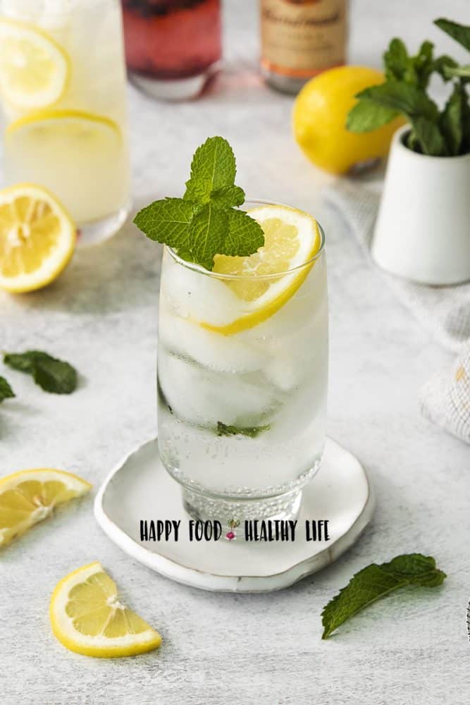 citrus mint 3 ingredient vodka drink garnished with fresh mint and lemon slices.