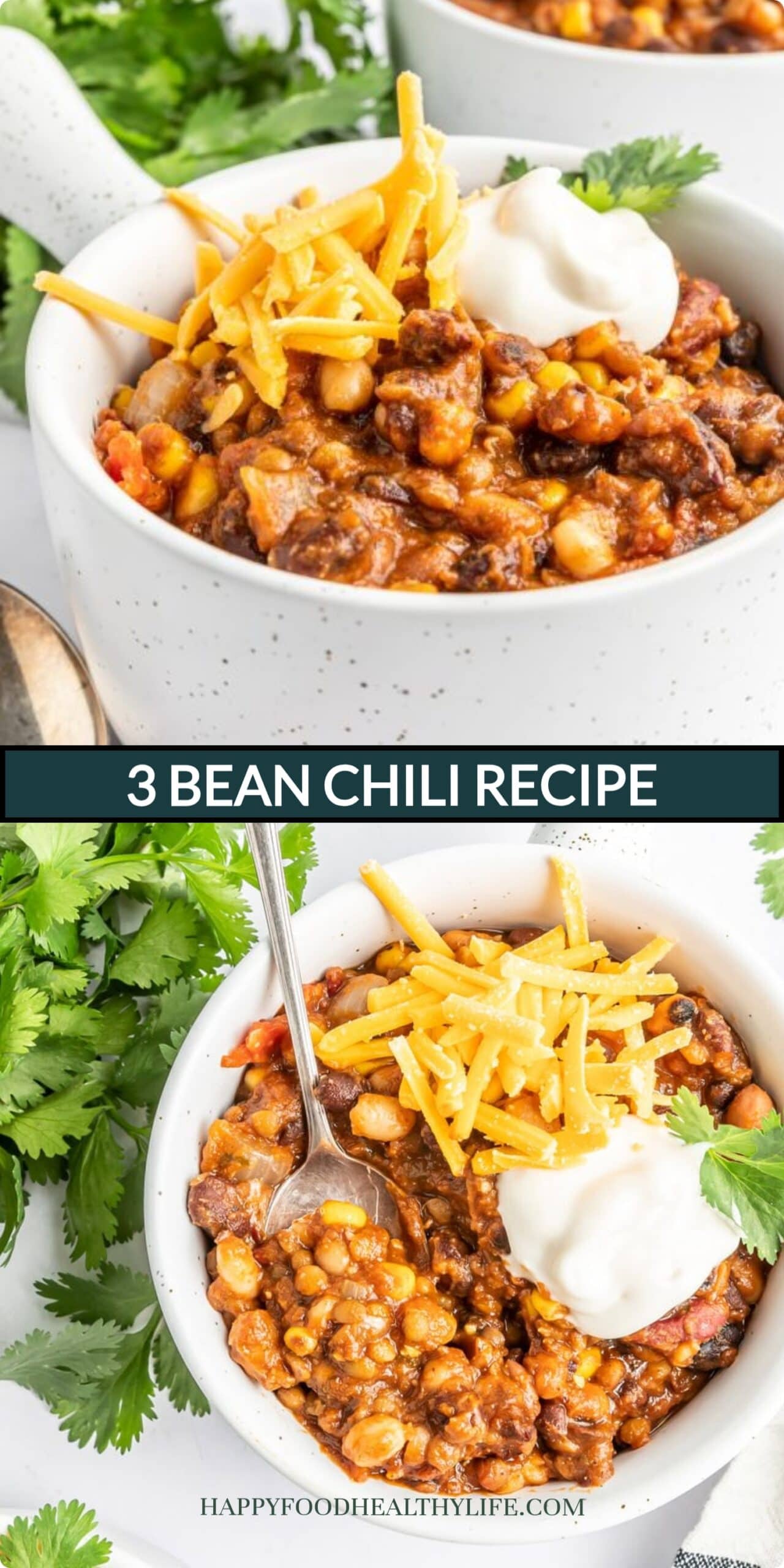 vegetarian 3 bean chili