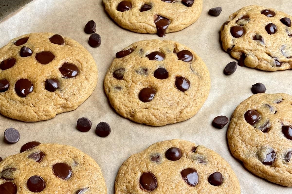 pumpkin chocolate chip cookies